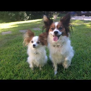 Meet your Posher, Lori